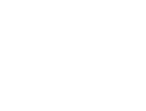 Timber & Co Furniture and Decor
